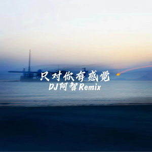 成人蜘蛛系列A片
