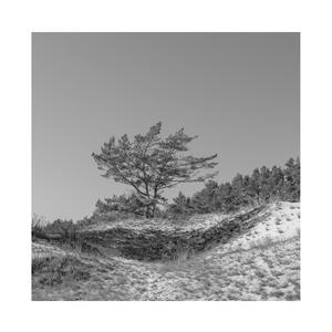 成人蜘蛛系列A片
